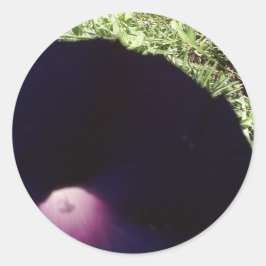 Adesivo Redondo Vinheta de Flor de Glândula Roxo