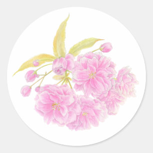 Adesivo Redondo vinheta de flor Primavera cor-de-rosa