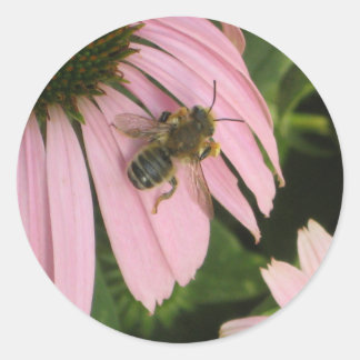 Adesivo Redondo Vinheta de Flor Rosa