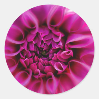 Adesivo Redondo Vinheta de Flor Rosa