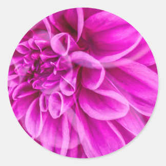 Adesivo Redondo Vinheta de Flor Rosa