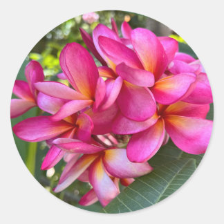Adesivo Redondo Vinheta de Flor Tropical
