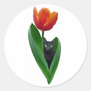 Adesivo Redondo Vinheta de Gato de Tulip