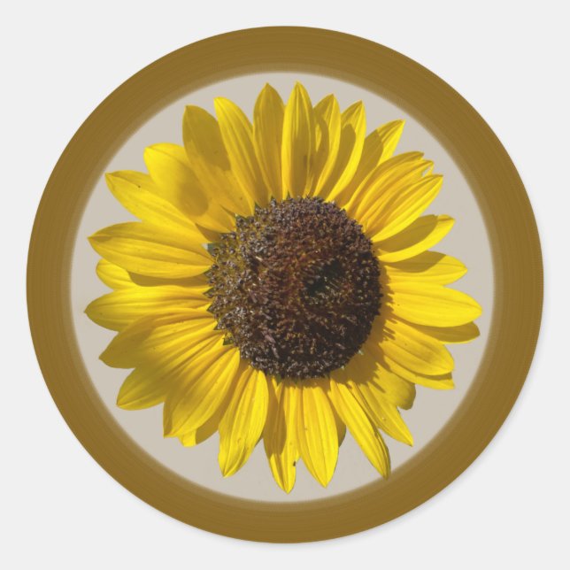 Adesivo Redondo Vinheta de girassol (Frente)
