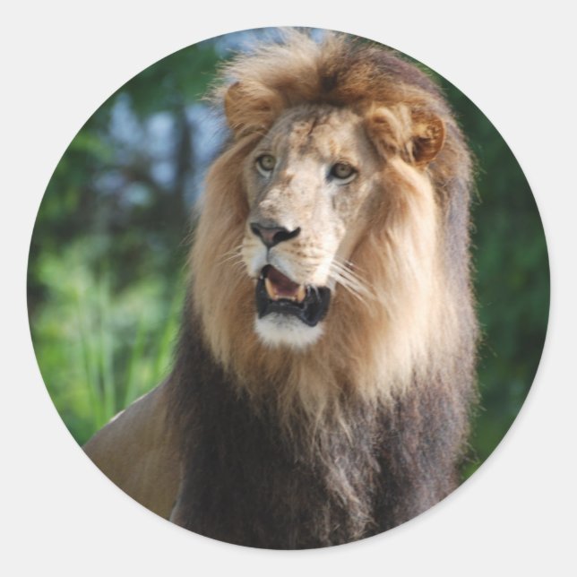 Adesivo Redondo Vinheta de Leão Regal (Frente)