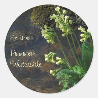 Adesivo Redondo Vinheta de livraria de flores amarelas