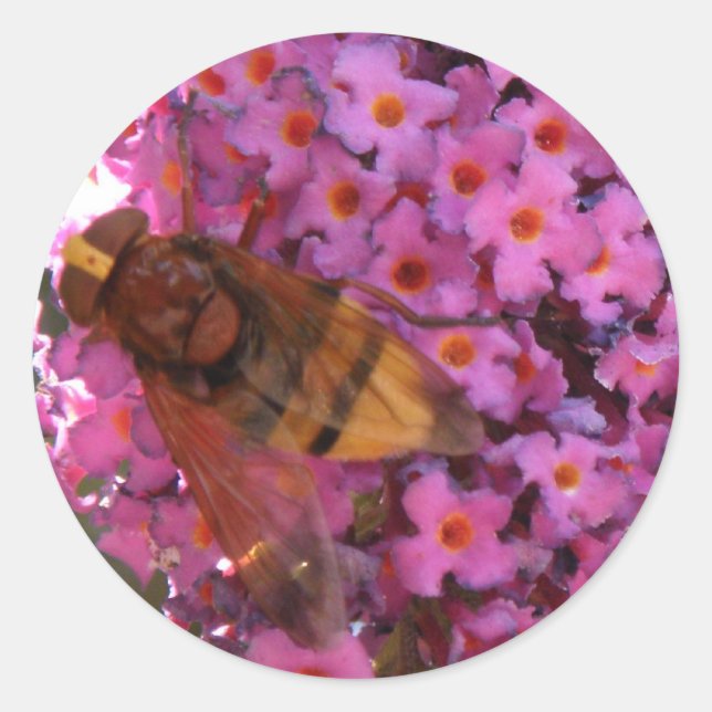 Adesivo Redondo Vinheta de mosca (Frente)