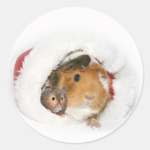 Adesivo Redondo Vinheta de Natal animal