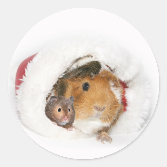 Adesivo Redondo Vinheta de Natal animal (Frente)