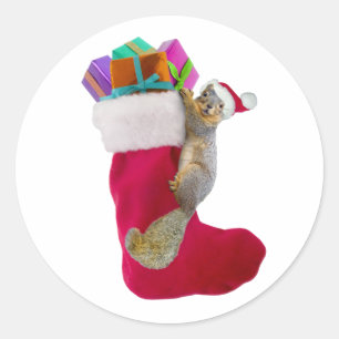 Adesivo Redondo Vinheta de Natal Esquilo
