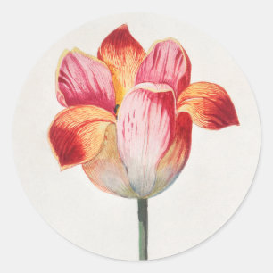ADESIVO REDONDO VINHETA DE NOME PERSONALIZADO DE TULIP ROUND