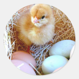 Adesivo Redondo Vinheta de Páscoa correspondente