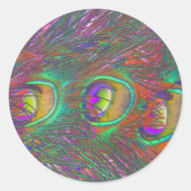 Adesivo Redondo Vinheta de Penas de Peacock de Natal (Frente)