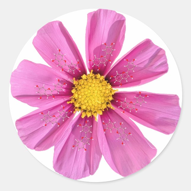 Adesivo Redondo Vinheta de Química da Flor (Frente)