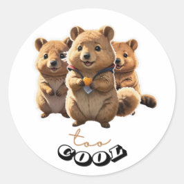 Adesivo Redondo Vinheta de Quokka