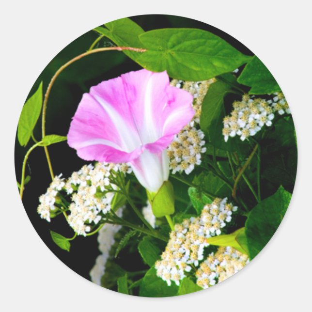 Adesivo Redondo Vinheta de selagem de envelope floral (Frente)