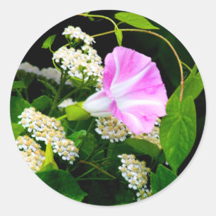 Adesivo Redondo Vinheta de selagem de envelope floral