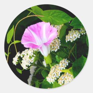 Adesivo Redondo Vinheta de selagem de envelope floral grande