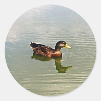 Adesivo Redondo Vinheta de selagem de envelopes de pata