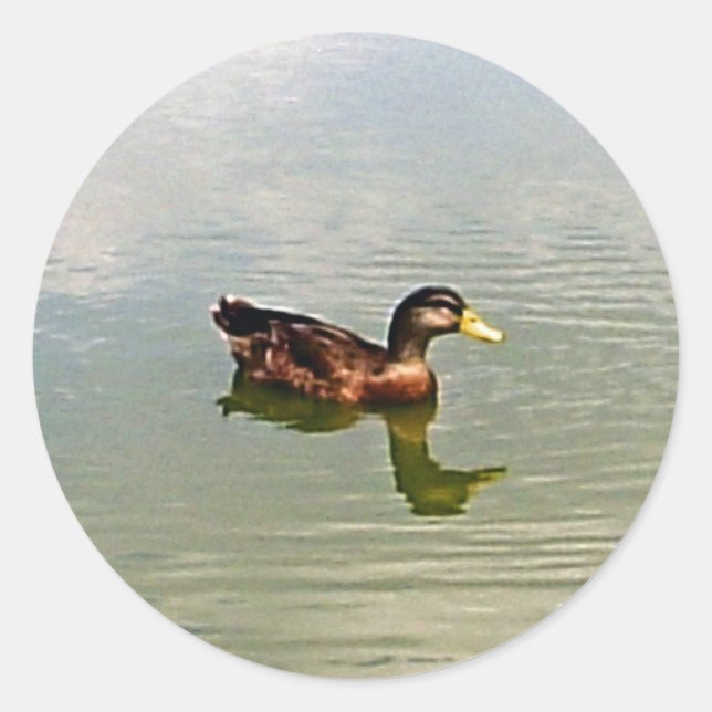 Adesivo Redondo Vinheta de selagem de envelopes de pata (Frente)