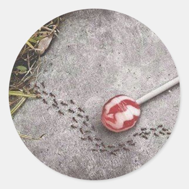 Adesivo Redondo Vinheta de Sensibilização Química (Frente)