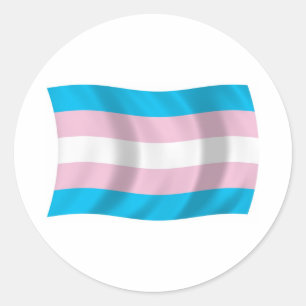 Adesivo Redondo Vinheta de Sinalizador do Orgulho Transgênero
