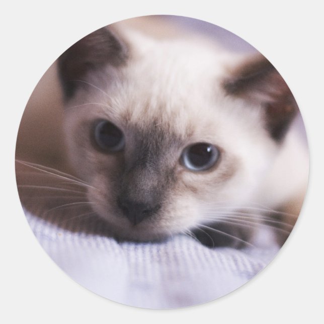 Adesivo Redondo Vinheta delicada (Frente)