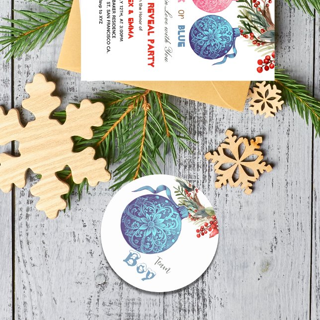 Adesivo Redondo Vinheta do Grupo de Inverno do Sexo de Inverno (Criador carregado)