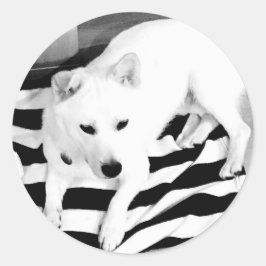 Adesivo Redondo Vinheta Eno Preto e Branco