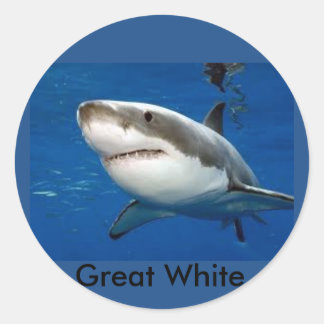 Adesivo Redondo Vinheta Excelente White Shark