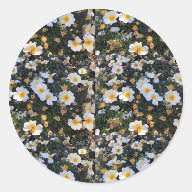 Adesivo Redondo Vinheta flexível (Frente)