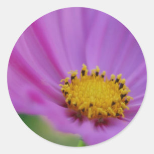 Adesivo Redondo Vinheta flexível