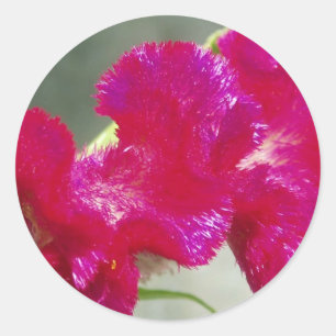 Adesivo Redondo Vinheta Floral Rosa