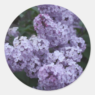 Adesivo Redondo Vinheta Flores Lilac