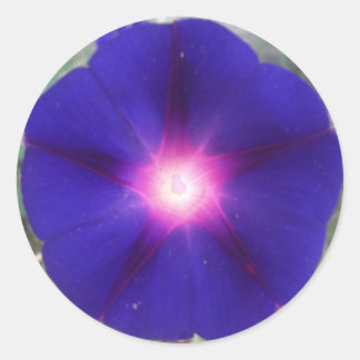 Adesivo Redondo Vinheta Glória da Manhã Escura