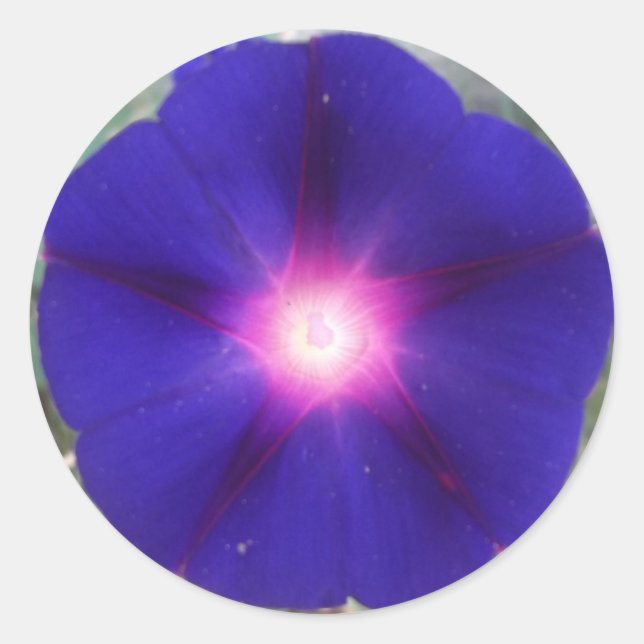 Adesivo Redondo Vinheta Glória da Manhã Escura (Frente)