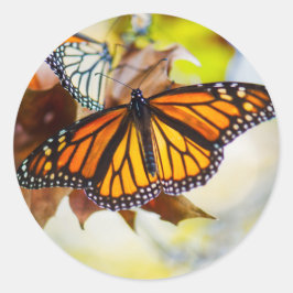 Adesivo Redondo Vinheta Monarca brilhante