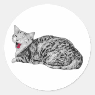 Adesivo Redondo Vinheta Monocromática de Gata Yawning com Tong Ver