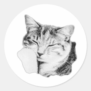 Adesivo Redondo Vinheta Monocromática de Gato Dormindo