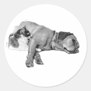 Adesivo Redondo Vinheta monocromática para cães e gatos