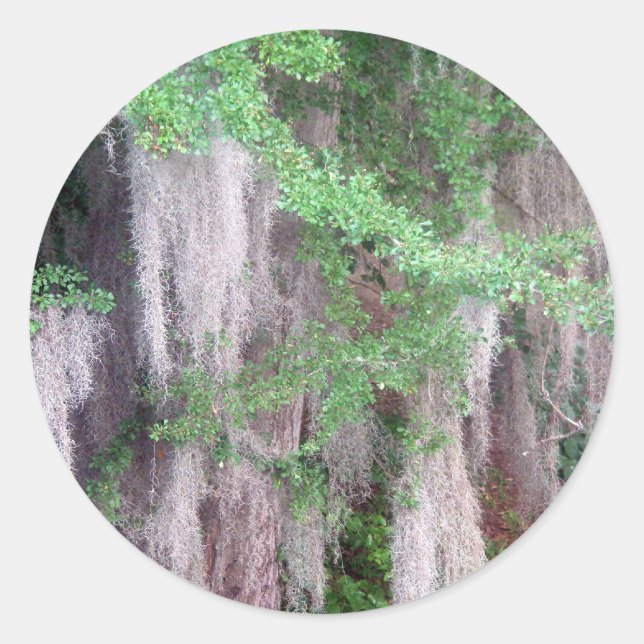 Adesivo Redondo Vinheta Moss Espanhola (Frente)