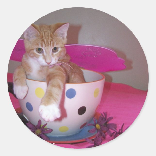 Adesivo Redondo Vinheta para fadas (Frente)