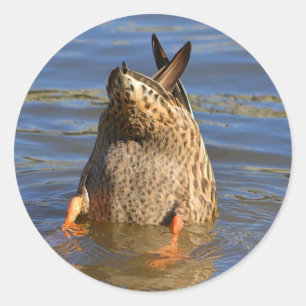 Adesivo Redondo Vinheta Pato para Cima