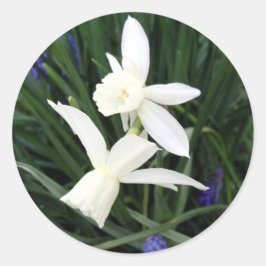 Adesivo Redondo Vinheta redonda branca Thalia Daffodils