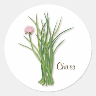 Adesivo Redondo Vinheta redonda Chives