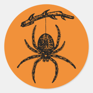 Adesivo Redondo Vinheta redonda clássica de aranha laranja Hallowe