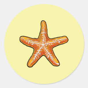 Adesivo Redondo Vinheta redonda clássica Starfish