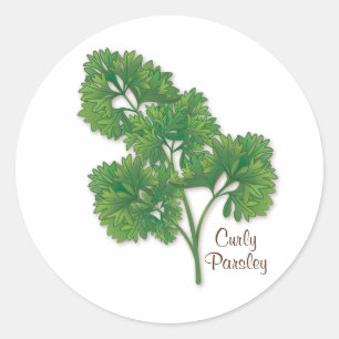 Adesivo Redondo Vinheta Redonda Curly Parsley