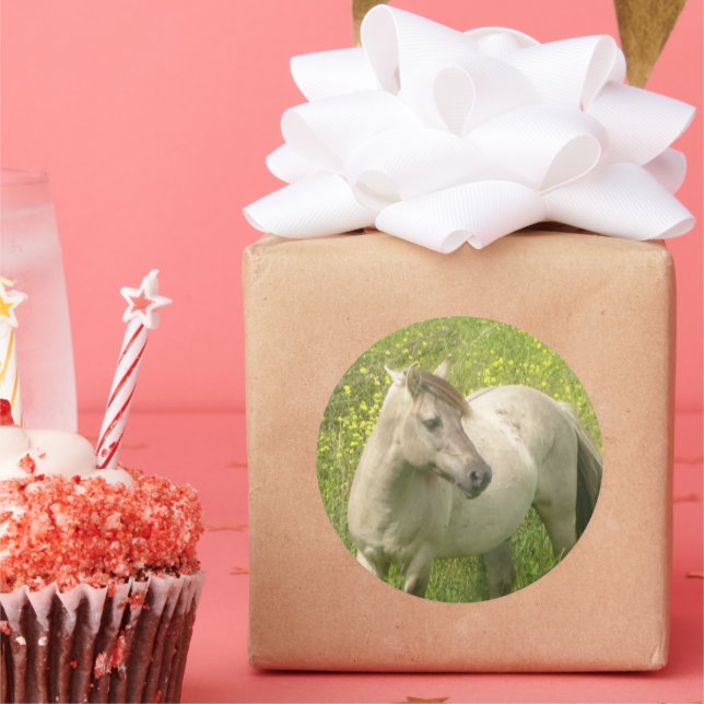 Adesivo Redondo Vinheta redonda de cavalos selvagens (Festa)