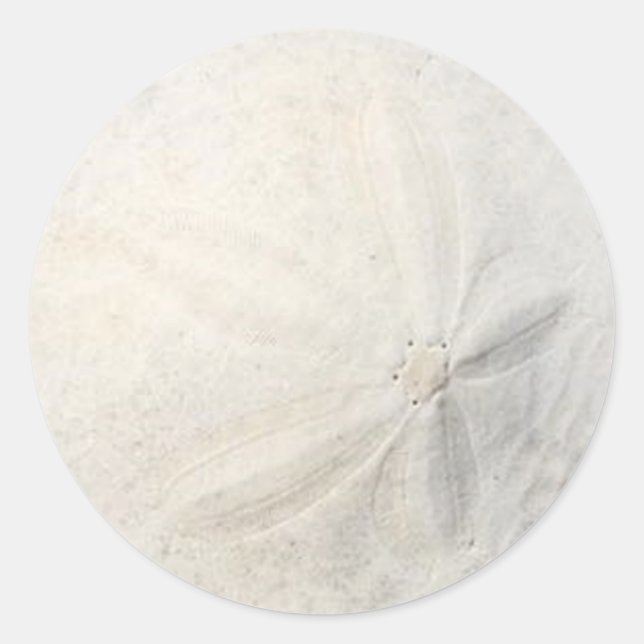 Adesivo Redondo Vinheta redonda do partido Dólar de areia (Frente)